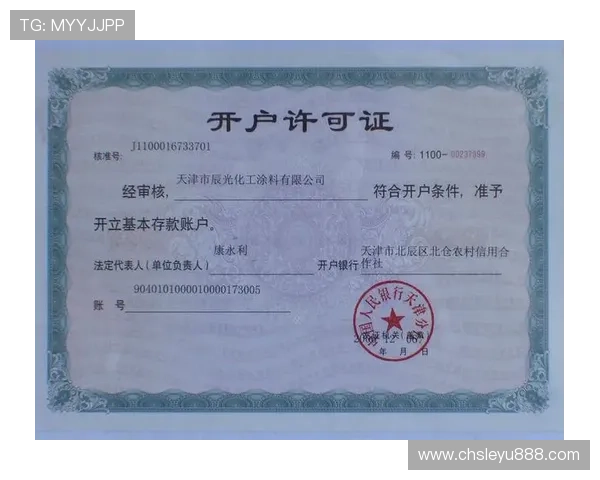 乐鱼账户安全登录指南保障你的账户财产安全